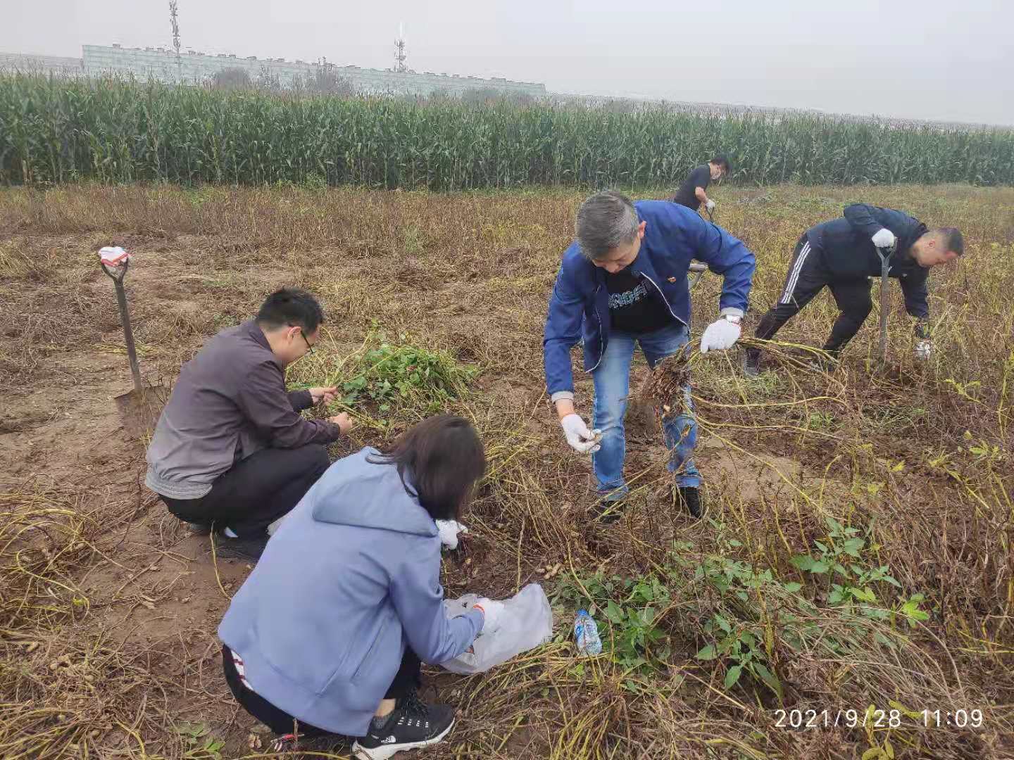 好博(中国)体育智能科技股份有限公司网站