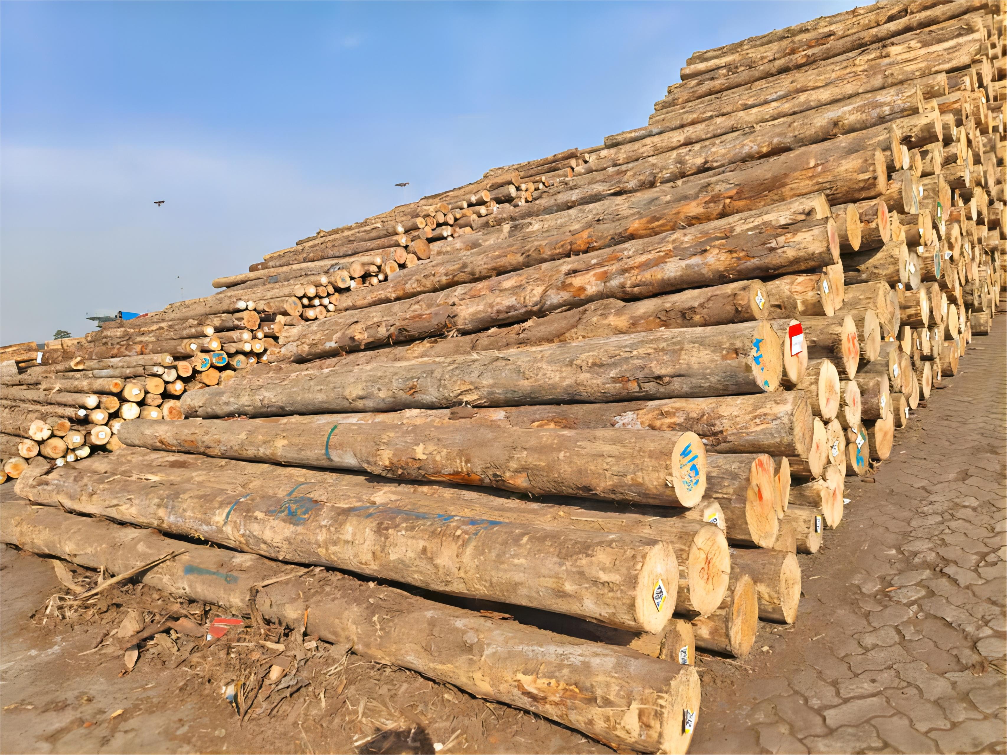 好博(中国)体育智能科技股份有限公司网站