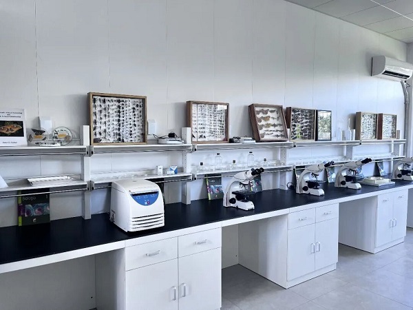 好博(中国)体育智能科技股份有限公司网站