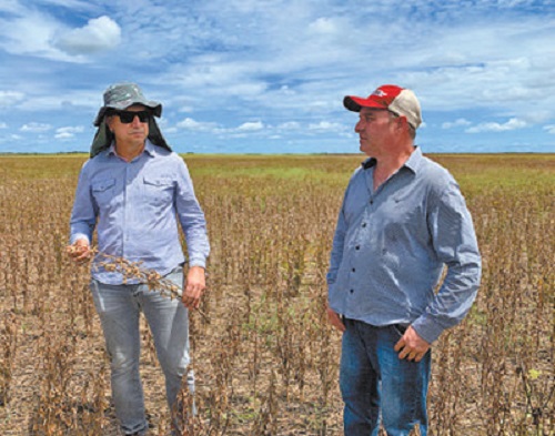 好博(中国)体育智能科技股份有限公司网站